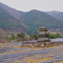 평창 수항리사지 이미지