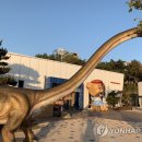 종난농장 이미지