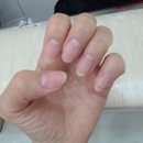 더네일(TheNail)
