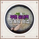세븐일레븐 부천원미대박점 | 송내역 삼계탕 맛집 강원한방토종삼계탕 솔직후기