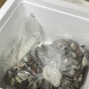 거거수산 | 거거수산 벌교꼬막 구매 후기, 꼬막요리(꼬막전, 양념꼬막)