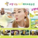 용인대 시선 태권도장 이미지