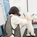 하나유치원 | 반려견지도사 자격증 하나로 애견유치원 취업한 사람의 후기