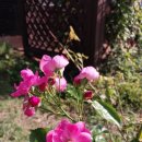 늘,그곳 이미지