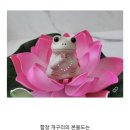 불교개구리