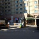 피스트짐 이미지