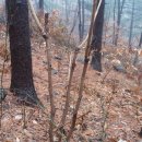 안방농장2 이미지