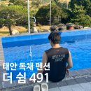 태안 독채펜션 추천 ⎮ 더쉼491 수영장있는 프라이빗 숙소