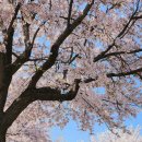 강원대학교 동물생명과학대학 부속목장 이미지