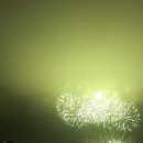 포항국제불빛축제 (북부해수욕장) 2011.07.30 이미지