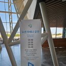 성산바다풍경 제주성산일출봉점 | [Day 14] 물고기보러갈래?조아!(아쿠아플라넷 제주, 성산바다풍경 제주성산일출봉점)