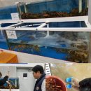 봄봄수산 이미지