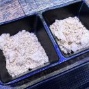 일품대패평택서정점 이미지