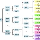 해동선의 주식 강좌 1. (ROE, PBR, PER) 이미지