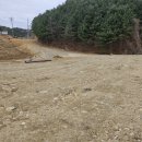 양평강남공인중개사사무소 이미지