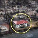 빨간지붕 이미지