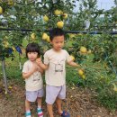 영화초교병설유치원 이미지