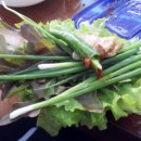 성남농장 Daum카페