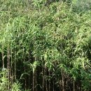 아침부터노래연습장 이미지