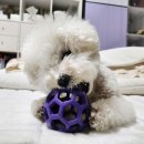 야옹아 멍멍해봐 별내점 이미지