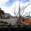 학성바다펜션 이미지