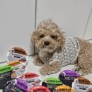 댕댕이밥상 이미지