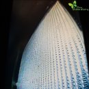 오토샤인 | 성남 분당 하남 출장에바크리닝 BMW X3 자동차 에어컨 식초 냄새 제거 샤인스토리가 도와드리겠습니다~