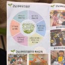 강남새싹유치원 이미지