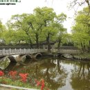 대촌공원 이미지