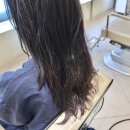 씨유배곧M플러스점 | 배곧 미용실 추천 에이바헤어 배곧점 데미클리닉 후기