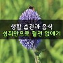 혈전 없애는 방법 생활습관과 음식섭취 이미지