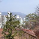 백봉목장 이미지