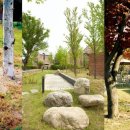 양지하우스 이미지