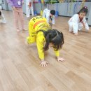 광명연세정도태권도장 이미지