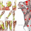 약손힐링마사지 이미지