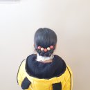 예쁜머리 이미지