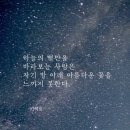 하늘의 별만을 이미지