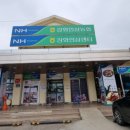 강화인삼센타 - 13849 | 강화인삼센타