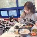 솔향식당 - 서귀포시 | 강릉 반려견동반식당 ㅣ 솔향 초당순두부 애견동반 맛집 방문 후기