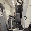 라이프 옵티마 체스트 팝니다 상차가능 이미지