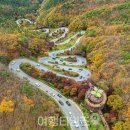 속리산 네이버블로그