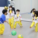 푸른나래 태권도 교육관 이미지