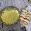 유한회사 지영 | 2월 2주차 ( 웨딩촬영 )