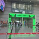 2026 서울국제도서전 오픈런 후기: 책을 사랑하는 젊은 열기로 가득했던 뜨거운 축제 현장