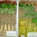 수경산업 이미지