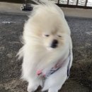 무교동북어국집 | 광화문 직장인 맛집｜무교동북어국집 후기