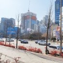 포레스트177