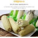 캠핑부꾸 | 8월 20일 6시 내고향 오륜 팝콘 옥수수 강원 동해 택배 구매 방법 총정리