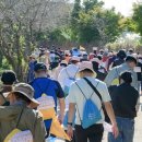 순천만 어싱길 맨발 걷기대회 이미지