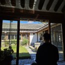 이승남강남베스트의원 | 준비 일기 2] 가임력검사(AMH) + 나팔관조영술 + 배란유도제를 거친 자연임신 10개월 실패 후기 #난임일기